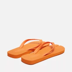 Mens Cole Cole New Wave Flip Flop -Sandals & Slides Shop hp 525060 c scaled